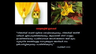 Miracle of quran