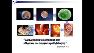 Miracle of quran