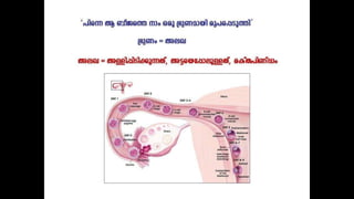 Miracle of quran
