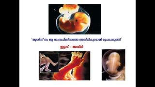Miracle of quran