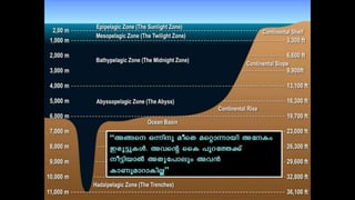Miracle of quran