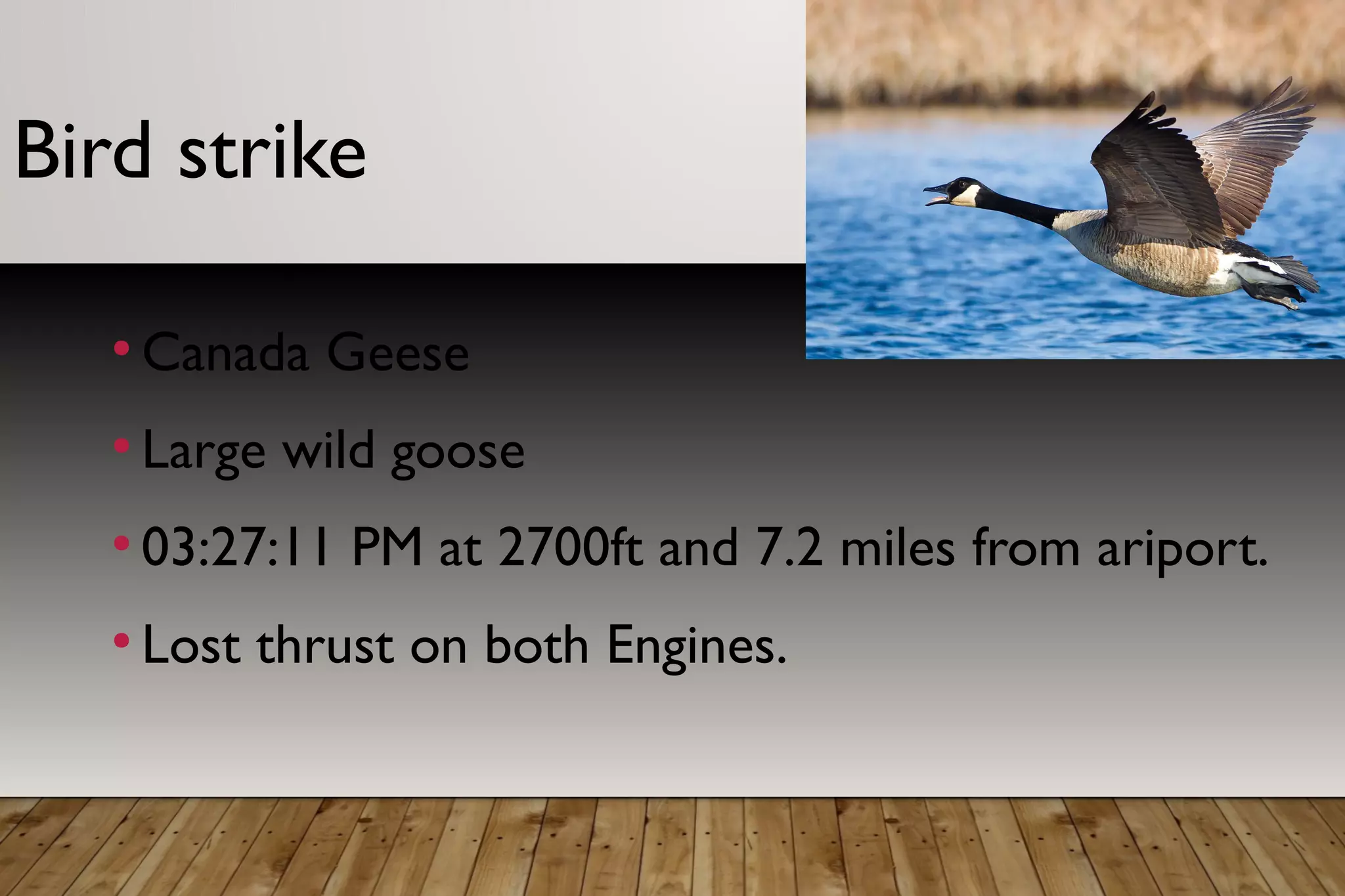 Bird strike
●
Canada Geese
●
Large wild goose
●
03:27:11 PM at 2700ft and 7.2 miles from ariport.
●
Lost thrust on both Engines.