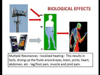 Miracle ppt