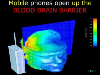 Mobile phones open up the 
BLOOD BRAIN BARRIER 
 