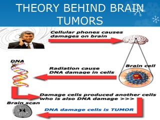 THEORY BEHIND BRAIN 
TUMORS 
 