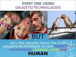 EVERY ONE USING 
GAUGETS/TECHNOLOGIES 
BUT 
very few peoples know the truth 
gaugets/technologies is very harmful to 
environment ,animals, birds and 
HUMAN 
 