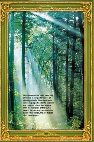 Harun Yahya




Light is one of the most essential
elements in the performance of
photosynthesis. Photosynthesis
varies in proportion to the intensity
and duration of the light source.
With the reception of the Sun's
rays in the morning, photosynthe-
sis-in other words, the production
of oxygen begins.




                         129
 