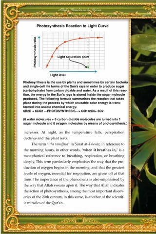 Allah's Miracles in the Qur'an



                         Photosynthesis Reaction to Light Curve

      Photosynthesis ratio




                                     Light saturation point




                                Light level

Photosynthesis is the use by plants and sometimes by certain bacteria
and single-cell life forms of the Sun's rays in order to produce sugar
(carbohydrate) from carbon dioxide and water. As a result of this reac-
tion, the energy in the Sun's rays is stored inside the sugar molecule
produced. The following formula summarises the reaction that takes
place during the process by which unusable solar energy is trans-
formed into usable chemical energy:
6H2O + 6CO2 ---PHOTOSYNTHESIS---> C6H12O6+ 6O2

(6 water molecules + 6 carbon dioxide molecules are turned into 1
sugar molecule and 6 oxygen molecules by means of photosynthesis.)

increases. At night, as the temperature falls, perspiration
declines and the plant rests.
     The term "itha tanaffasa" in Surat at-Takwir, in reference to
the morning hours, in other words, "when it breathes in," is a
metaphorical reference to breathing, respiration, or breathing
deeply. This term particularly emphasises the way that the pro-
duction of oxygen begins in the morning, and that the greatest
levels of oxygen, essential for respiration, are given off at that
time. The importance of the phenomena is also emphasised by
the way that Allah swears upon it. The way that Allah indicates
the action of photosynthesis, among the most important discov-
eries of the 20th century, in this verse, is another of the scientif-
ic miracles of the Qur'an.



                                                  130
 
