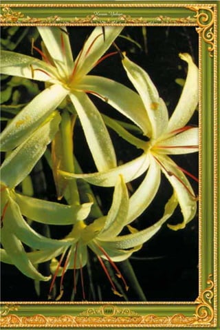 Harun Yahya




    131
 