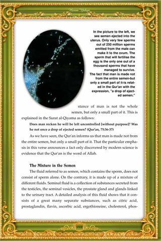 Harun Yahya




                                              In the picture to the left, we
                                               see semen ejected into the
                                            uterus. Only very few sperms
                                                 out of 250 million sperms
                                                emitted from the male can
                                                  make it to the ovum. The
                                               sperm that will fertilise the
                                              egg is the only one out of a
                                              thousand sperms that have
                                                      managed to survive.
                                            The fact that man is made not
                                                from the entire semen-but
                                            only a small part of it-is relat-
                                                  ed in the Qur'an with the
                                             expression, "a drop of eject-
                                                                ed semen."


                                    stance of man is not the whole
                                semen, but only a small part of it. This is
explained in the Surat al-Qiyama as follows:
     Does man reckon he will be left uncontrolled [without purpose]? Was
     he not once a drop of ejected semen? (Qur'an, 75:36-37)
     As we have seen, the Qur'an informs us that man is made not from
the entire semen, but only a small part of it. That the particular empha-
sis in this verse announces a fact only discovered by modern science is
evidence that the Qur'an is the word of Allah.


     The Mixture in the Semen
     The fluid referred to as semen, which contains the sperm, does not
consist of sperm alone. On the contrary, it is made up of a mixture of
different fluids. Seminal fluid is a collection of substances secreted from
the testicles, the seminal vesicles, the prostate gland and glands linked
to the urinary tract. A detailed analysis of this fluid shows that it con-
sists of a great many separate substances, such as citric acid,
prostaglandin, flavin, ascorbic acid, ergothioneine, cholesterol, phos-




                                   153
 