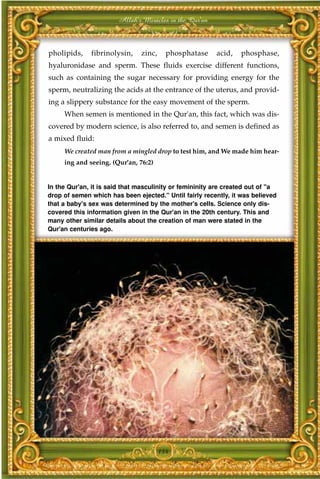 Allah's Miracles in the Qur'an



pholipids,    fibrinolysin,    zinc,     phosphatase     acid,   phosphase,
hyaluronidase and sperm. These fluids exercise different functions,
such as containing the sugar necessary for providing energy for the
sperm, neutralizing the acids at the entrance of the uterus, and provid-
ing a slippery substance for the easy movement of the sperm.
     When semen is mentioned in the Qur'an, this fact, which was dis-
covered by modern science, is also referred to, and semen is defined as
a mixed fluid:
     We created man from a mingled drop to test him, and We made him hear-
     ing and seeing. (Qur'an, 76:2)


In the Qur'an, it is said that masculinity or femininity are created out of "a
drop of semen which has been ejected." Until fairly recently, it was believed
that a baby's sex was determined by the mother's cells. Science only dis-
covered this information given in the Qur'an in the 20th century. This and
many other similar details about the creation of man were stated in the
Qur'an centuries ago.




                                       154
 