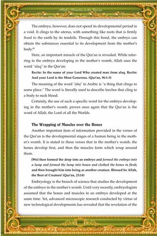 Allah's Miracles in the Qur'an



     The embryo, however, does not spend its developmental period in
a void. It clings to the uterus, with something like roots that is firmly
fixed to the earth by its tendrils. Through this bond, the embryo can
obtain the substances essential to its development from the mother's
body.89
     Here, an important miracle of the Qur'an is revealed. While refer-
ring to the embryo developing in the mother's womb, Allah uses the
word "alaq" in the Qur'an:
     Recite: In the name of your Lord Who created man from alaq. Recite:
     And your Lord is the Most Generous. (Qur'an, 96:1-3)
     The meaning of the word "alaq" in Arabic is "a thing that clings to
some place." The word is literally used to describe leeches that cling to
a body to suck blood.
     Certainly, the use of such a specific word for the embryo develop-
ing in the mother's womb, proves once again that the Qur'an is the
word of Allah, the Lord of all the Worlds.


     The Wrapping of Muscles over the Bones
     Another important item of information provided in the verses of
the Qur'an is the developmental stages of a human being in the moth-
er's womb. It is stated in these verses that in the mother's womb, the
bones develop first, and then the muscles form which wrap around
them.
     [We] then formed the drop into an embryo and formed the embryo into
     a lump and formed the lump into bones and clothed the bones in flesh;
     and then brought him into being as another creature. Blessed be Allah,
     the Best of Creators! (Qur'an, 23:14)
     Embryology is the branch of science that studies the development
of the embryo in the mother's womb. Until very recently, embryologists
assumed that the bones and muscles in an embryo developed at the
same time. Yet, advanced microscopic research conducted by virtue of
new technological developments has revealed that the revelation of the



                                     158
 