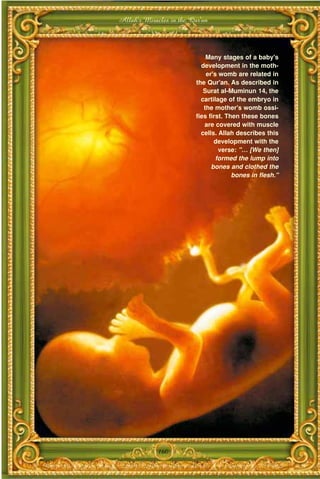Allah's Miracles in the Qur'an




                              Many stages of a baby's
                            development in the moth-
                              er's womb are related in
                          the Qur'an. As described in
                             Surat al-Muminun 14, the
                            cartilage of the embryo in
                             the mother's womb ossi-
                          fies first. Then these bones
                             are covered with muscle
                            cells. Allah describes this
                                 development with the
                                   verse: "… [We then]
                                  formed the lump into
                                bones and clothed the
                                        bones in flesh."




             160
 