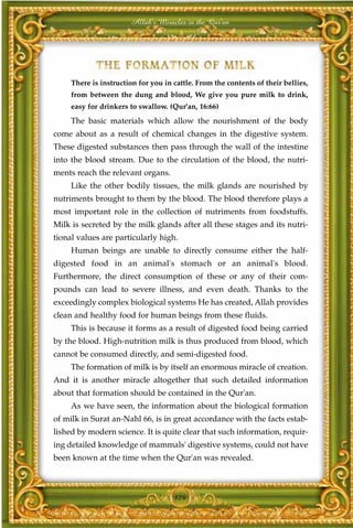 Allah's Miracles in the Qur'an




     There is instruction for you in cattle. From the contents of their bellies,
     from between the dung and blood, We give you pure milk to drink,
     easy for drinkers to swallow. (Qur'an, 16:66)
     The basic materials which allow the nourishment of the body
come about as a result of chemical changes in the digestive system.
These digested substances then pass through the wall of the intestine
into the blood stream. Due to the circulation of the blood, the nutri-
ments reach the relevant organs.
     Like the other bodily tissues, the milk glands are nourished by
nutriments brought to them by the blood. The blood therefore plays a
most important role in the collection of nutriments from foodstuffs.
Milk is secreted by the milk glands after all these stages and its nutri-
tional values are particularly high.
     Human beings are unable to directly consume either the half-
digested food in an animal's stomach or an animal's blood.
Furthermore, the direct consumption of these or any of their com-
pounds can lead to severe illness, and even death. Thanks to the
exceedingly complex biological systems He has created, Allah provides
clean and healthy food for human beings from these fluids.
     This is because it forms as a result of digested food being carried
by the blood. High-nutrition milk is thus produced from blood, which
cannot be consumed directly, and semi-digested food.
     The formation of milk is by itself an enormous miracle of creation.
And it is another miracle altogether that such detailed information
about that formation should be contained in the Qur'an.
     As we have seen, the information about the biological formation
of milk in Surat an-Nahl 66, is in great accordance with the facts estab-
lished by modern science. It is quite clear that such information, requir-
ing detailed knowledge of mammals' digestive systems, could not have
been known at the time when the Qur'an was revealed.



                                     174
 