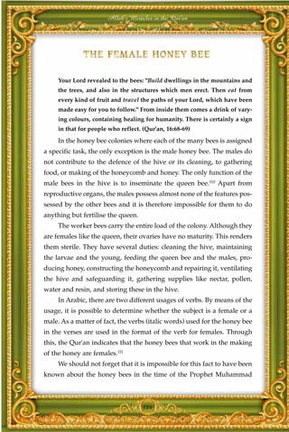 Allah's Miracles in the Qur'an




     Your Lord revealed to the bees: "Build dwellings in the mountains and
     the trees, and also in the structures which men erect. Then eat from
     every kind of fruit and travel the paths of your Lord, which have been
     made easy for you to follow." From inside them comes a drink of vary-
     ing colours, containing healing for humanity. There is certainly a sign
     in that for people who reflect. (Qur'an, 16:68-69)
     In the honey bee colonies where each of the many bees is assigned
a specific task, the only exception is the male honey bee. The males do
not contribute to the defence of the hive or its cleaning, to gathering
food, or making of the honeycomb and honey. The only function of the
male bees in the hive is to inseminate the queen bee.110 Apart from
reproductive organs, the males possess almost none of the features pos-
sessed by the other bees and it is therefore impossible for them to do
anything but fertilise the queen.
     The worker bees carry the entire load of the colony. Although they
are females like the queen, their ovaries have no maturity. This renders
them sterile. They have several duties: cleaning the hive, maintaining
the larvae and the young, feeding the queen bee and the males, pro-
ducing honey, constructing the honeycomb and repairing it, ventilating
the hive and safeguarding it, gathering supplies like nectar, pollen,
water and resin, and storing these in the hive.
     In Arabic, there are two different usages of verbs. By means of the
usage, it is possible to determine whether the subject is a female or a
male. As a matter of fact, the verbs (italic words) used for the honey bee
in the verses are used in the format of the verb for females. Through
this, the Qur'an indicates that the honey bees that work in the making
of the honey are females.111
     We should not forget that it is impossible for this fact to have been
known about the honey bees in the time of the Prophet Muhammad



                                     184
 