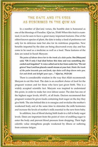 Allah's Miracles in the Qur'an




     In a number of Qur'anic verses, the humble date is honoured as
one of the blessings of Paradise. (Qur'an, 55:68) When this fruit is exam-
ined, it can be seen to have a great many important features. One of the
oldest known species of plant, the date is today a food of preference not
only for its delicious taste but also for its nutritious properties. New
benefits imparted by the date are being discovered every day and has
come to be used as a medicine as well as a food. These features of the
date are noted in Surah Maryam:
     The pains of labour drove her to the trunk of a date-palm. She [Maryam]
     said, "Oh if only I had died before this time and was something dis-
     carded and forgotten!" A voice called out to her from under her, "Do not
     grieve! Your Lord has placed a small stream at your feet. Shake the trunk
     of the palm towards you and fresh, ripe dates will drop down onto you.
     Eat and drink and delight your eyes…" (Qur'an, 19:23-26)
     There is considerable wisdom in the way that Allah recommends
Maryam to eat this fruit. The date is an excellent choice of food for the
pregnant women and for those who have just given birth. This is a
widely accepted scientific fact. Maryam was inspired to understand
this point, in order to make her own labour easier. The date has one of
the highest sugar levels, 60-65%, of all fruits. Doctors recommend that
pregnant women be given foods containing fruit sugar on the day they
give birth. The aim behind this is to energise and revitalise the mother's
weakened body and at the same time to stimulate the milk hormones
and increase the levels of mother's milk essential to the new-born baby.
     In addition, loss of blood during birth leads to a fall in body sugar
levels. Dates are important from the point of view of enabling sugar to
enter the body and prevent blood pressure from dropping. Their high
calorific value strengthens people weakened by illness or suffering
from extreme fatigue.



                                    190
 