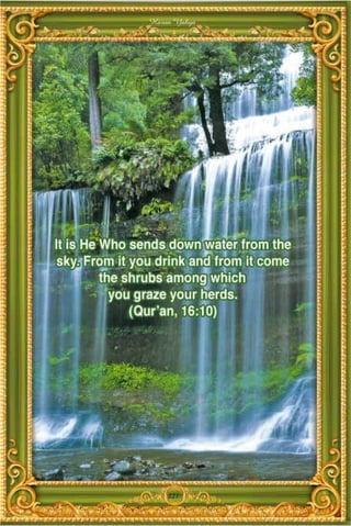 Harun Yahya




    221
 