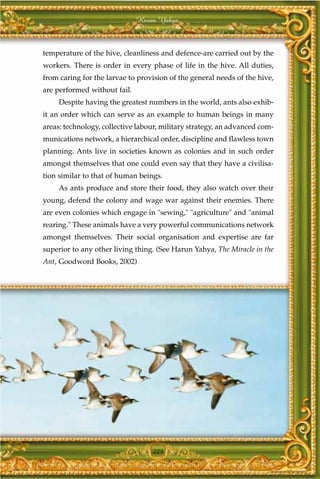 Harun Yahya



temperature of the hive, cleanliness and defence-are carried out by the
workers. There is order in every phase of life in the hive. All duties,
from caring for the larvae to provision of the general needs of the hive,
are performed without fail.
     Despite having the greatest numbers in the world, ants also exhib-
it an order which can serve as an example to human beings in many
areas: technology, collective labour, military strategy, an advanced com-
munications network, a hierarchical order, discipline and flawless town
planning. Ants live in societies known as colonies and in such order
amongst themselves that one could even say that they have a civilisa-
tion similar to that of human beings.
     As ants produce and store their food, they also watch over their
young, defend the colony and wage war against their enemies. There
are even colonies which engage in "sewing," "agriculture" and "animal
rearing." These animals have a very powerful communications network
amongst themselves. Their social organisation and expertise are far
superior to any other living thing. (See Harun Yahya, The Miracle in the
Ant, Goodword Books, 2002)




                                  225
 