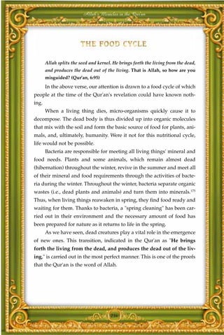 Allah's Miracles in the Qur'an




       Allah splits the seed and kernel. He brings forth the living from the dead,
       and produces the dead out of the living. That is Allah, so how are you
       misguided? (Qur'an, 6:95)
       In the above verse, our attention is drawn to a food cycle of which
people at the time of the Qur'an's revelation could have known noth-
ing.
       When a living thing dies, micro-organisms quickly cause it to
decompose. The dead body is thus divided up into organic molecules
that mix with the soil and form the basic source of food for plants, ani-
mals, and, ultimately, humanity. Were it not for this nutritional cycle,
life would not be possible.
       Bacteria are responsible for meeting all living things' mineral and
food needs. Plants and some animals, which remain almost dead
(hibernation) throughout the winter, revive in the summer and meet all
of their mineral and food requirements through the activities of bacte-
ria during the winter. Throughout the winter, bacteria separate organic
wastes (i.e., dead plants and animals) and turn them into minerals.175
Thus, when living things reawaken in spring, they find food ready and
waiting for them. Thanks to bacteria, a "spring cleaning" has been car-
ried out in their environment and the necessary amount of food has
been prepared for nature as it returns to life in the spring.
       As we have seen, dead creatures play a vital role in the emergence
of new ones. This transition, indicated in the Qur'an as "He brings
forth the living from the dead, and produces the dead out of the liv-
ing," is carried out in the most perfect manner. This is one of the proofs
that the Qur'an is the word of Allah.




                                       236
 