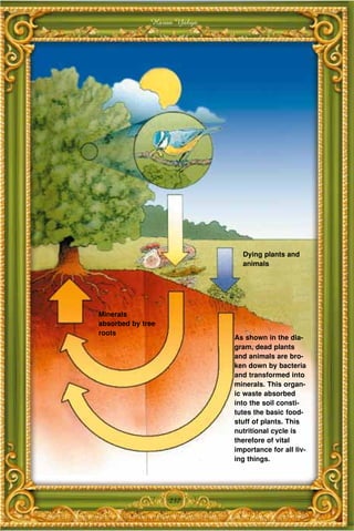 Harun Yahya




                              Dying plants and
                              animals




Minerals
absorbed by tree
roots
                            As shown in the dia-
                            gram, dead plants
                            and animals are bro-
                            ken down by bacteria
                            and transformed into
                            minerals. This organ-
                            ic waste absorbed
                            into the soil consti-
                            tutes the basic food-
                            stuff of plants. This
                            nutritional cycle is
                            therefore of vital
                            importance for all liv-
                            ing things.




                   237
 