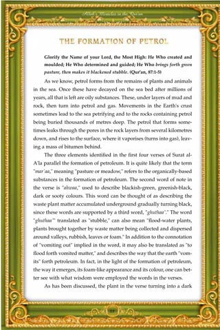 Allah's Miracles in the Qur'an




     Glorify the Name of your Lord, the Most High: He Who created and
     moulded; He Who determined and guided; He Who brings forth green
     pasture, then makes it blackened stubble. (Qur'an, 87:1-5)

     As we know, petrol forms from the remains of plants and animals
in the sea. Once these have decayed on the sea bed after millions of
years, all that is left are oily substances. These, under layers of mud and
rock, then turn into petrol and gas. Movements in the Earth's crust
sometimes lead to the sea petrifying and to the rocks containing petrol
being buried thousands of metres deep. The petrol that forms some-
times leaks through the pores in the rock layers from several kilometres
down, and rises to the surface, where it vaporises (turns into gas), leav-
ing a mass of bitumen behind.
     The three elements identified in the first four verses of Surat al-
A'la parallel the formation of petroleum. It is quite likely that the term
"mar`aa," meaning "pasture or meadow," refers to the organically-based
substances in the formation of petroleum. The second word of note in
the verse is "ahwaa," used to describe blackish-green, greenish-black,
dark or sooty colours. This word can be thought of as describing the
waste plant matter accumulated underground gradually turning black,
since these words are supported by a third word, "ghuthaa'." The word
"ghuthaa'" translated as "stubble," can also mean "flood-water plants,
plants brought together by waste matter being collected and dispersed
around valleys, rubbish, leaves or foam." In addition to the connotation
of "vomiting out" implied in the word, it may also be translated as "to
flood forth vomited matter," and describes the way that the earth "vom-
its" forth petroleum. In fact, in the light of the formation of petroleum,
the way it emerges, its foam-like appearance and its colour, one can bet-
ter see with what wisdom were employed the words in the verses.
     As has been discussed, the plant in the verse turning into a dark



                                     88
 