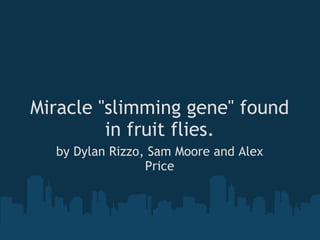Miracle &quot;slimming gene&quot; found in fruit flies. by Dylan Rizzo, Sam Moore and Alex Price 