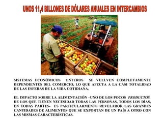 SISTEMAS ECONÓMICOS  ENTEROS  SE VUELVEN COMPLETAMENTE DEPENDIENTES DEL COMERCIO, LO QUE AFECTA A LA CASI TOTALIDAD DE LAS ESFERAS DE LA VIDA COTIDIANA.  EL IMPACTO SOBRE LA ALIMENTACIÓN –UNO DE LOS POCOS  PRODUCTOS  DE LOS QUE TIENEN NECESIDAD TODAS LAS PERSONAS, TODOS LOS DÍAS, EN TODAS PARTES-  ES PARTICULARMENTE REVELADOR LAS GRANDES CANTIDADES DE ALIMENTOS QUE SE EXPORTAN DE UN PAÍS A OTRO CON LAS MISMAS CARACTERÍSTICAS. UNOS 11,4 BILLONES DE DÓLARES ANUALES EN INTERCAMBIOS  