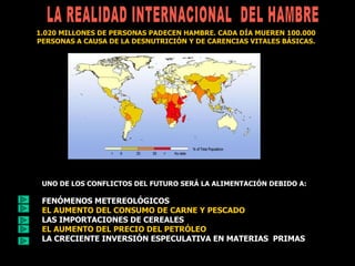 LA REALIDAD INTERNACIONAL  DEL HAMBRE 1.020 MILLONES DE PERSONAS PADECEN HAMBRE. CADA DÍA MUEREN 100.000 PERSONAS A CAUSA DE LA DESNUTRICIÓN Y DE CARENCIAS VITALES BÁSICAS. UNO DE LOS CONFLICTOS DEL FUTURO SERÁ LA ALIMENTACIÓN DEBIDO A: FENÓMENOS METEREOLÓGICOS EL AUMENTO DEL CONSUMO DE CARNE Y PESCADO   LAS IMPORTACIONES DE CEREALES EL AUMENTO DEL PRECIO DEL PETRÓLEO   LA CRECIENTE INVERSIÓN ESPECULATIVA EN MATERIAS  PRIMAS 