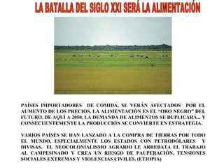 PAÍSES IMPORTADORES  DE COMIDA, SE VERÁN AFECTADOS  POR EL AUMENTO DE LOS PRECIOS. LA ALIMENTACIÓN ES EL “ORO NEGRO” DEL FUTURO. DE AQUÍ A 2050, LA DEMANDA DE ALIMENTOS SE DUPLICARÁ... Y CONSECUENTEMENTE LA PRODUCCIÓN SE CONVIERTE EN ESTRATEGIA.  VARIOS PAÍSES SE HAN LANZADO A LA COMPRA DE TIERRAS POR TODO EL MUNDO, ESPECIALMENTE LOS ESTADOS CON PETRODÓLARES  Y DIVISAS.  EL NEOCOLONIALISMO AGRARIO LE ARREBATA EL TRABAJO AL CAMPESINADO Y CREA UN RIESGO DE PAUPERACIÓN, TENSIONES SOCIALES EXTREMAS Y VIOLENCIAS CIVILES. (ETIOPIA) LA BATALLA DEL SIGLO XXI SERÁ LA ALIMENTACIÓN 