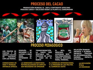 PROCESO DEL CACAO PRODUCCIÓN MUNDIAL EL  (60%) CONTINENTE AFRICANO PROCESO LARGO Y DELICADO DESDE LA PLANTA AL CONSUMIDOR LOS FRUTOS SE CORTAN Y SE ABREN A GOLPES DE MACHETE, CON LAS MANOS. DESPUÉS, SE RECOGEN Y SE LLEVAN A UNAS ERAS, SE EXTIENDEN AL SOL TRANSFORMACIÓN, LA PARTE MÁS RENTABLE DEL  PROCESO SE LLEVA A CABO EN EL NORTE EL 80% DEL MERCADO LO ACAPARAN SEIS  MULTINACIONALES (NESTLÉ, SUCHARD, MARS, FERRERO,  CACAO RELACIÓN TRABAJO INFANTIL Y ALIMENT.  INFANTIL. PROCESO DE INTERMEDIACIÓN.. HAMBRE. IMPACTO ECOLOGICO PROCESO PEDAGOGICO  CONDICIONES DE VIDA Y TRABAJO INFANCIA AFRICA. LA SOBERANÍA ALIMENTARIA POTENCIALIDADES DE EMPLEO SIN NECESIDAD DE EMIGRAR EL COMERCIO INTERNACIONAL Y LA PRESIÓN DE LAS MULTIN. EL COMERCIO JUSTO  LA REFLEXIÓN ÉTICA LA DIGNIDAD 