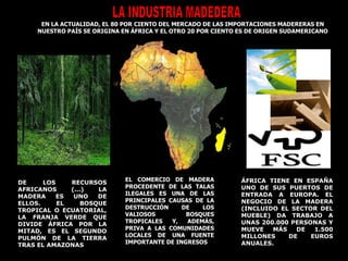 LA INDUSTRIA MADEDERA DE LOS RECURSOS AFRICANOS (...) LA MADERA ES UNO DE ELLOS. EL BOSQUE TROPICAL O ECUATORIAL, LA FRANJA VERDE QUE DIVIDE ÁFRICA POR LA MITAD, ES EL SEGUNDO PULMÓN DE LA TIERRA TRAS EL AMAZONAS La madera exportada de  ÁFRICA TIENE EN ESPAÑA UNO DE SUS PUERTOS DE ENTRADA A EUROPA. EL NEGOCIO DE LA MADERA (INCLUIDO EL SECTOR DEL MUEBLE) DA TRABAJO A UNAS 200.000 PERSONAS Y MUEVE MÁS DE 1.500 MILLONES DE EUROS ANUALES. Entra estas maderas EL COMERCIO DE MADERA PROCEDENTE DE LAS TALAS ILEGALES ES UNA DE LAS PRINCIPALES CAUSAS DE LA DESTRUCCIÓN DE LOS VALIOSOS BOSQUES TROPICALES Y, ADEMÁS, PRIVA A LAS COMUNIDADES LOCALES DE UNA FUENTE IMPORTANTE DE INGRESOS EN LA ACTUALIDAD, EL 80 POR CIENTO DEL MERCADO DE LAS IMPORTACIONES MADERERAS EN NUESTRO PAÍS SE ORIGINA EN ÁFRICA Y EL OTRO 20 POR CIENTO ES DE ORIGEN SUDAMERICANO 