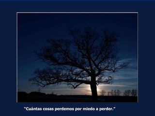 “ Cuántas cosas perdemos por miedo a perder.” 