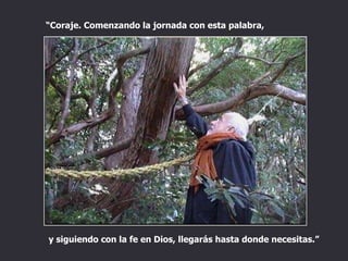 “ Coraje. Comenzando la jornada con esta palabra,  y siguiendo con la fe en Dios, llegarás hasta donde necesitas.” 