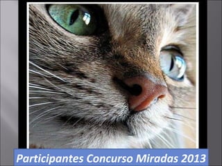 Participantes Concurso Miradas 2013
 