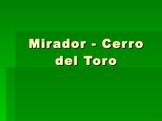 Mirador - Cerro del Toro 