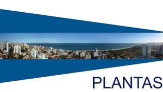 PLANTAS
 