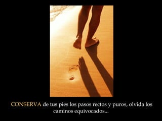 CONSERVA  de tus pies los pasos rectos y puros, olvida los caminos equivocados ...   