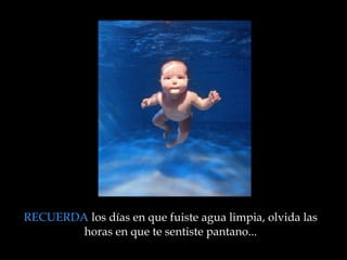 RECUERDA  los días en que fuiste agua limpia, olvida las horas en que te sentiste pantano ... 