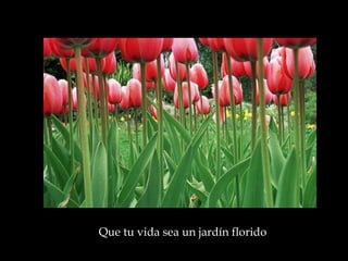 Que tu vida sea un jardín florido  