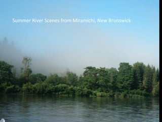 Summer River Scenes from Miramichi, New Brunswick
 