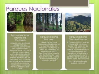 Parques Nacionales
Parque Nacional
Laguna de
Tacarigua
Está ubicado al este del
Estado Miranda,
Venezuela. Comprende
una laguna costera
permanente de 7.800 ha y
1,2 m de profundidad
promedio, separada del
mar por una restinga o
barrera litoral de 28,8 km
de largo y 300-1.000 m de
ancho que se formó por la
acción de la corriente
marítima que recorre el
litoral en dirección Este-
Oeste.
Parque Nacional
Macarao
El parque nacional
Macarao está ubicado en
la cuenca de los ríos
Macarao, San Pedro y el
Jarillo, en Venezuela. Su
extensión de 15.000
hectáreas abarca parte
del Distrito Capital y del
Estado Miranda. La zona
fue declarada Parque
Nacional en 1973.
Parque Nacional
Waraira Repano
El Parque Nacional Waraira
Repano1 2 conocido
desde 1778 hasta el 7 de
mayo de 2011 como
Parque Nacional El Ávila o
Parque Del Norte, está
localizado en la Cadena
del Litoral dentro de la
cordillera de la Costa, en el
centro-norte de Venezuela
En 1958 es declarado
parque nacional
 