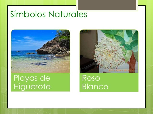 simbolos naturales de todos los estados miranda andr 233 ula luis 9noa simbolos naturales de todos los estados miranda andr 233 ula luis 9noa