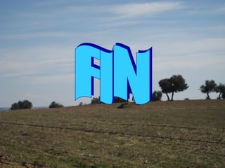 FIN 