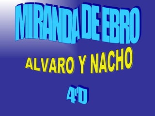 MIRANDA DE EBRO ALVARO Y NACHO 4ºD 
