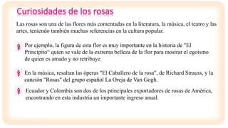 Las rosas son una de las flores más comentadas en la literatura, la música, el teatro y las
artes, teniendo también muchas referencias en la cultura popular.
Por ejemplo, la figura de esta flor es muy importante en la historia de "El
Principito“ quien se vale de la extrema belleza de la flor para mostrar el egoísmo
de quien es amado y no retribuye.
En la música, resaltan las óperas "El Caballero de la rosa", de Richard Strauss, y la
canción "Rosas" del grupo español La Oreja de Van Gogh.
Ecuador y Colombia son dos de los principales exportadores de rosas de América,
encontrando en esta industria un importante ingreso anual.
 