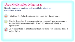 Usos Medicinales de las rosas
No todas las culturas mantienen en la actualidad el mismo uso
medicinal de las rosas.
La infusión de pétalos de rosas puede ser usada como laxante suave.
El aceite de semillas de rosas es considerado como una buena propuesta para
mantener el buen aspecto de la piel, favoreciendo la cicatrización y la
regeneración.
Las rosas son también importantes en la aromaterapia, técnicas usadas desde el
antiguo Egipto.
 