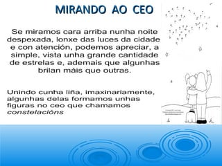 MIRANDO  AO  CEO 