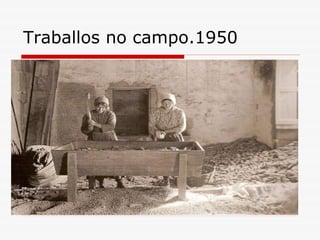 Traballos no campo.1950 