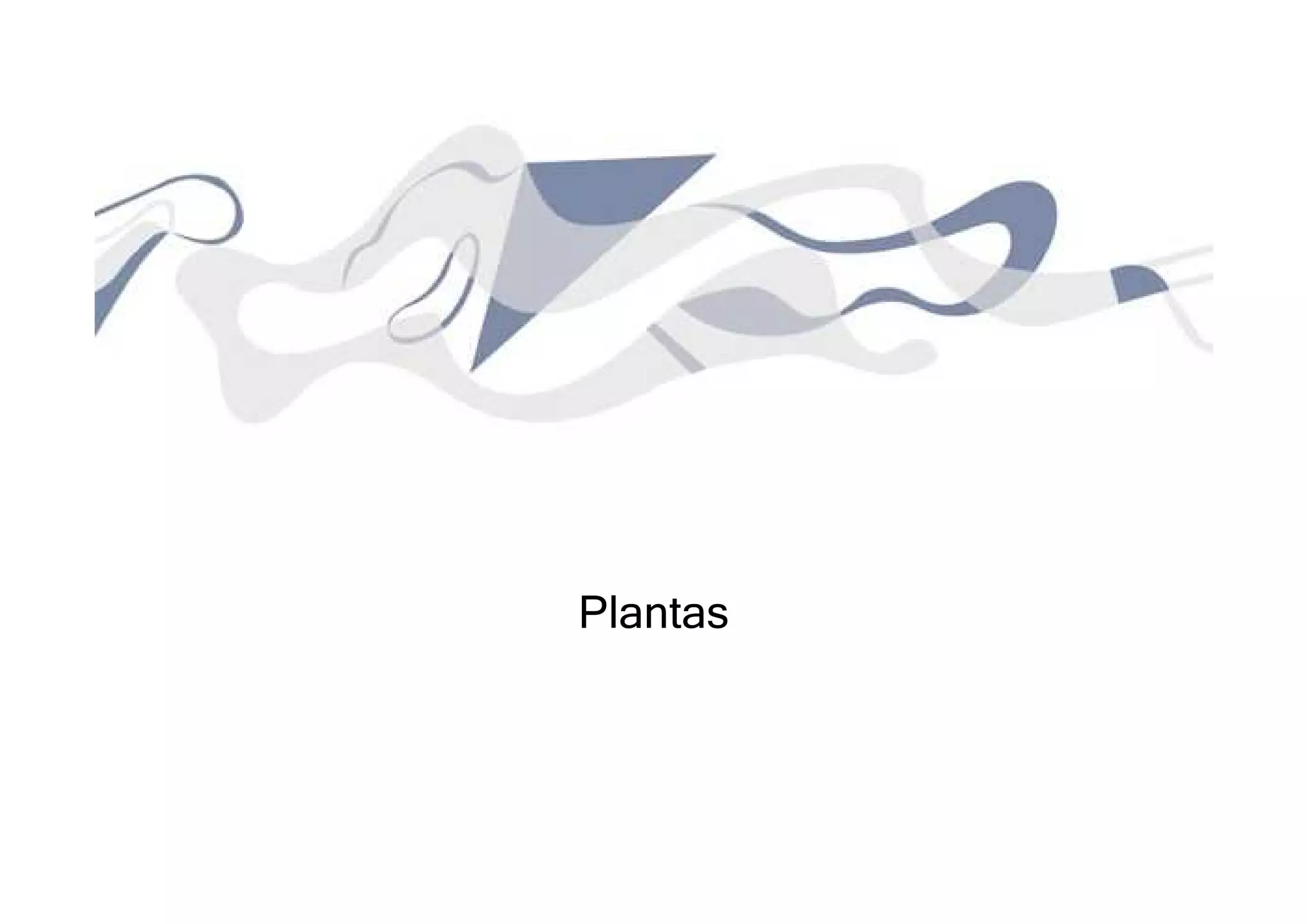 Plantas