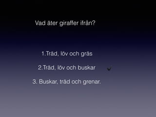 Vad äter giraffer ifrån?
1.Träd, löv och gräs
2.Träd, löv och buskar
3. Buskar, träd och grenar.
✔
 